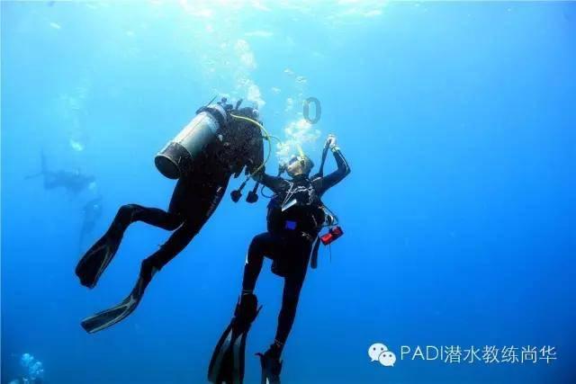 名流设计