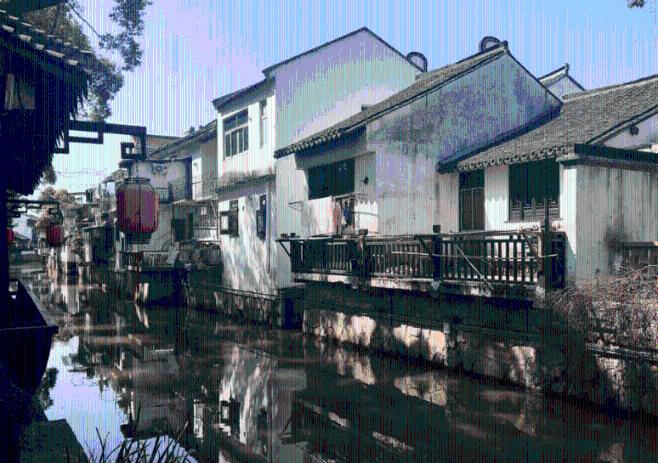 动物帮帮忙保卫家园